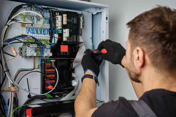 Licensed Electrical Panel Upgrade service in Topaz Ranch Estates, NV - No Joke electrician